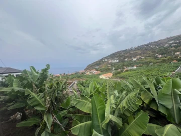 Terreno para Venda em Arco da Calheta