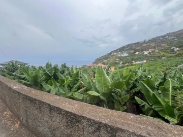Terreno para Venda em Arco da Calheta