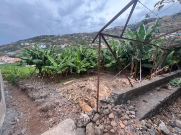 Terreno para Venda em Arco da Calheta
