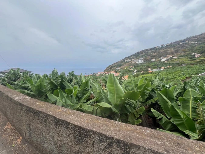 Terreno para Venda em Arco da Calheta Foto 3