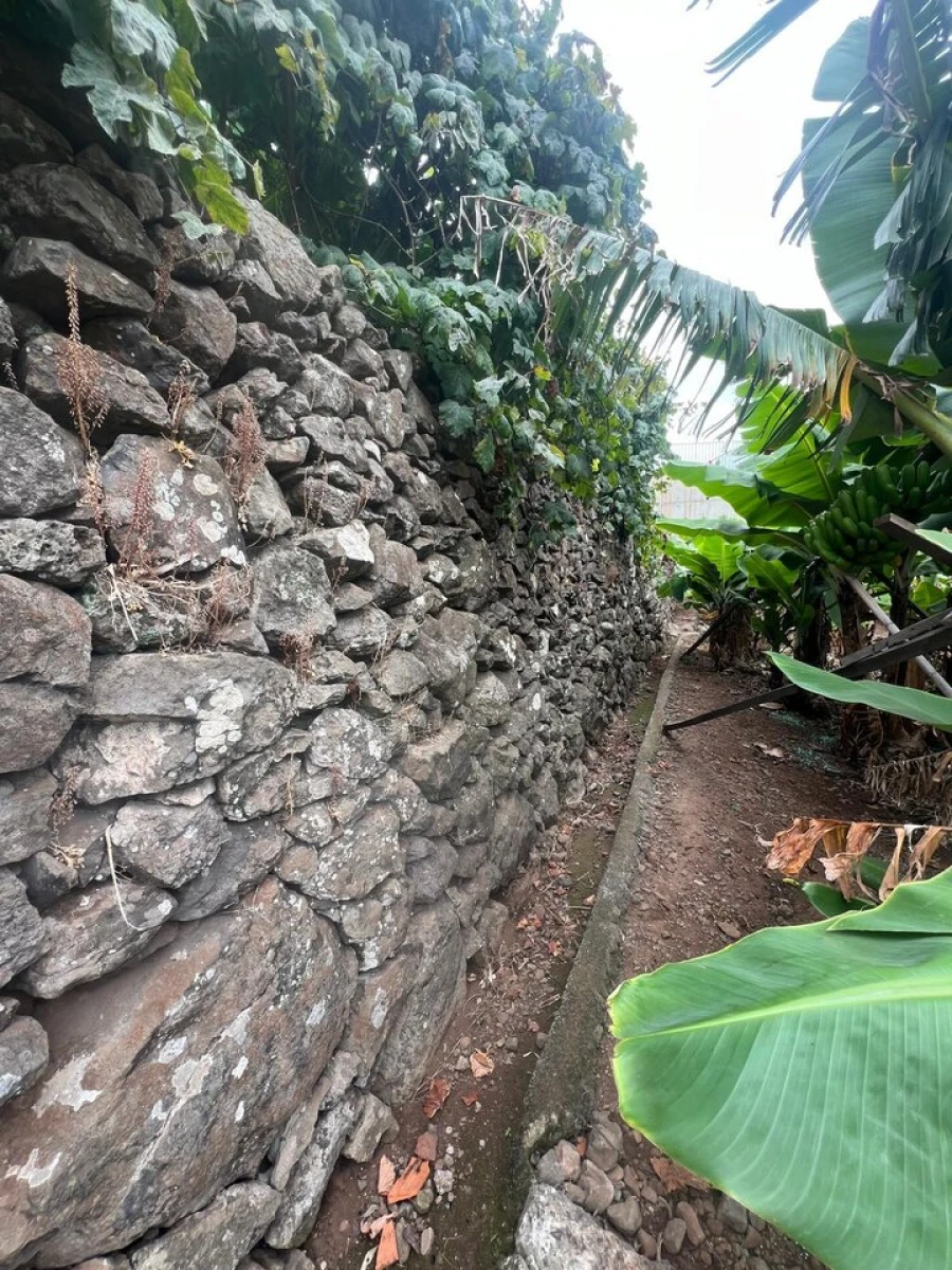Terreno para Venda em Arco da Calheta Foto 6