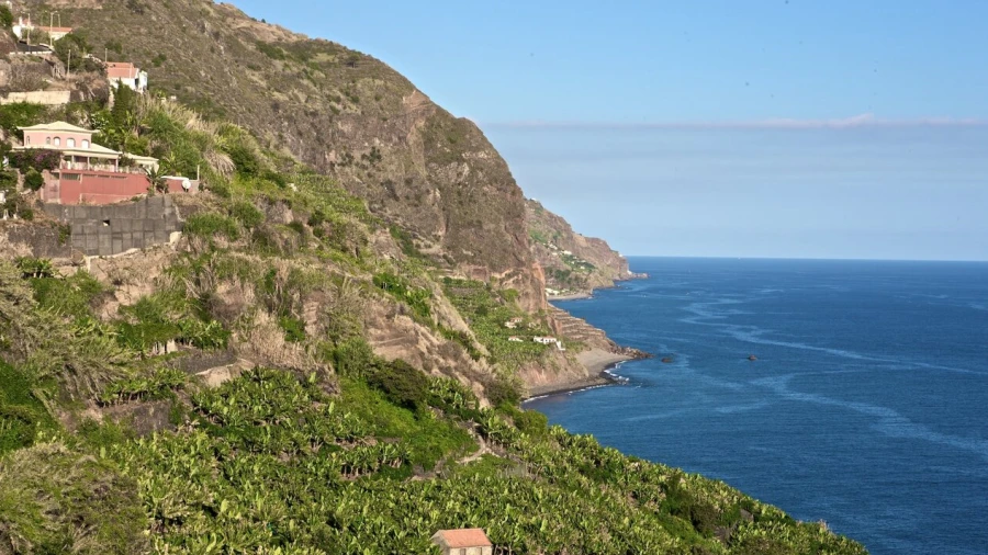 Terreno para Venda em Arco da Calheta