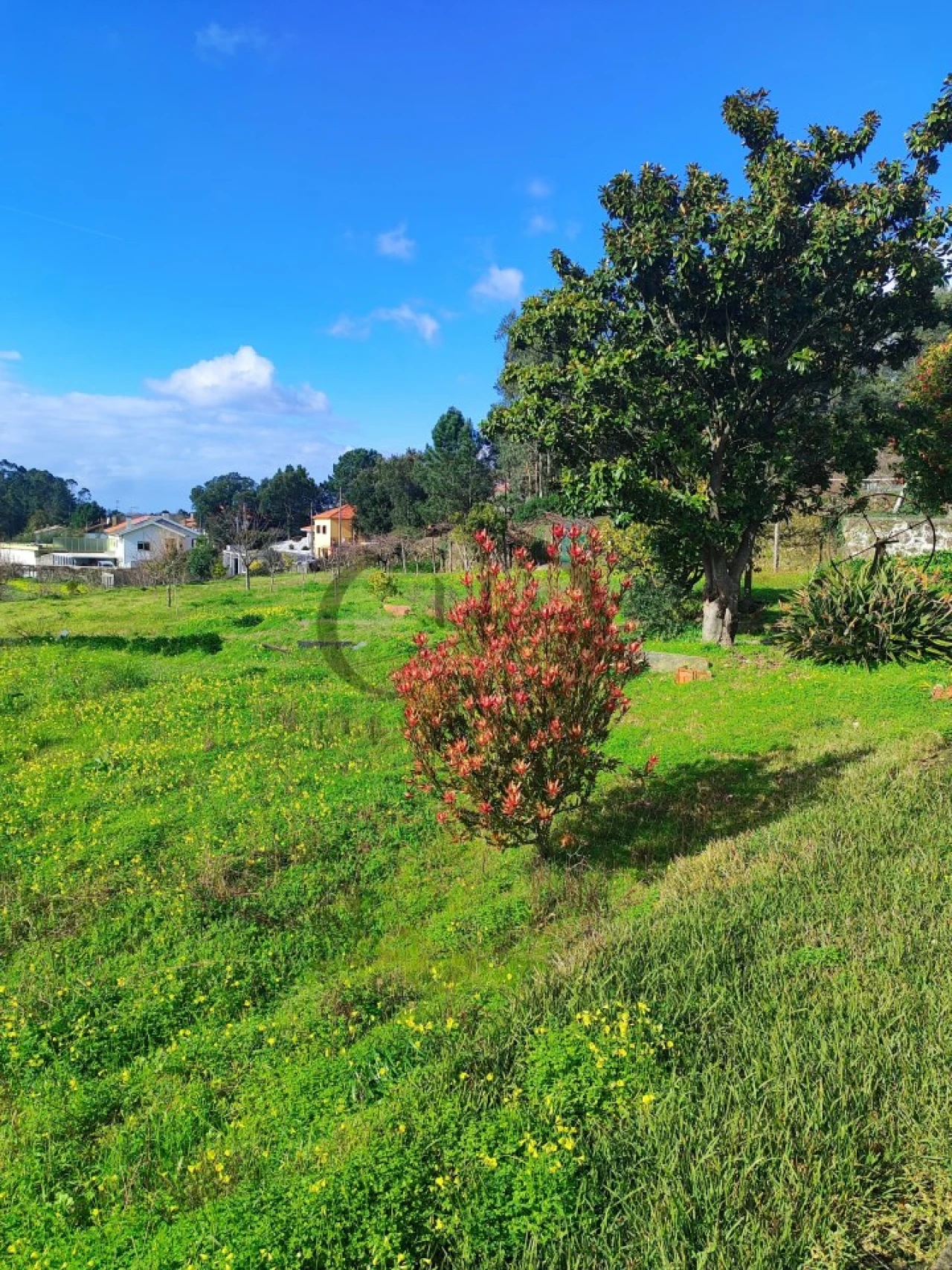 Terreno para Venda em Sandim, Olival, Lever e Crestuma Foto 4