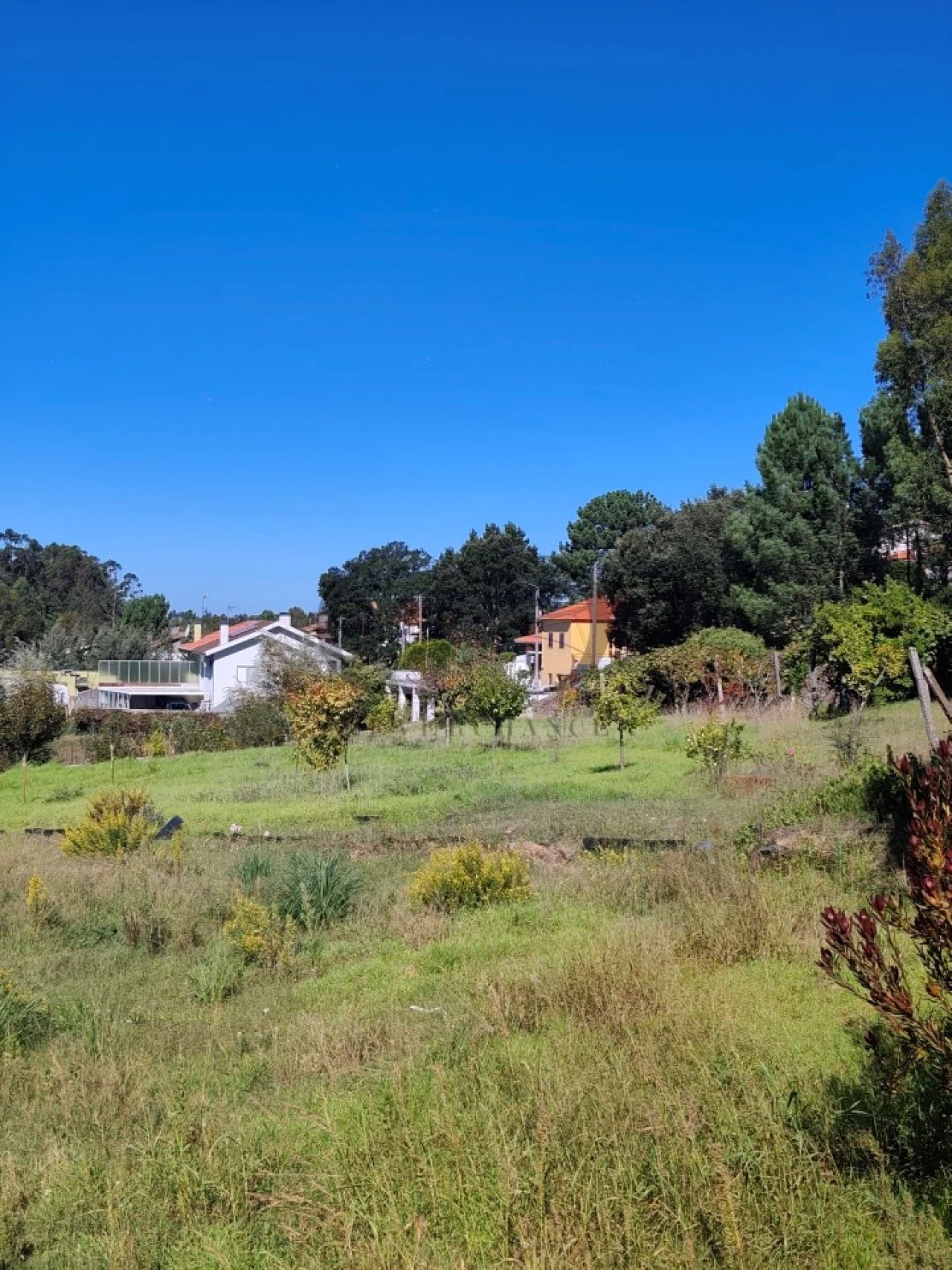 Terreno para Venda em Sandim, Olival, Lever e Crestuma Foto 9