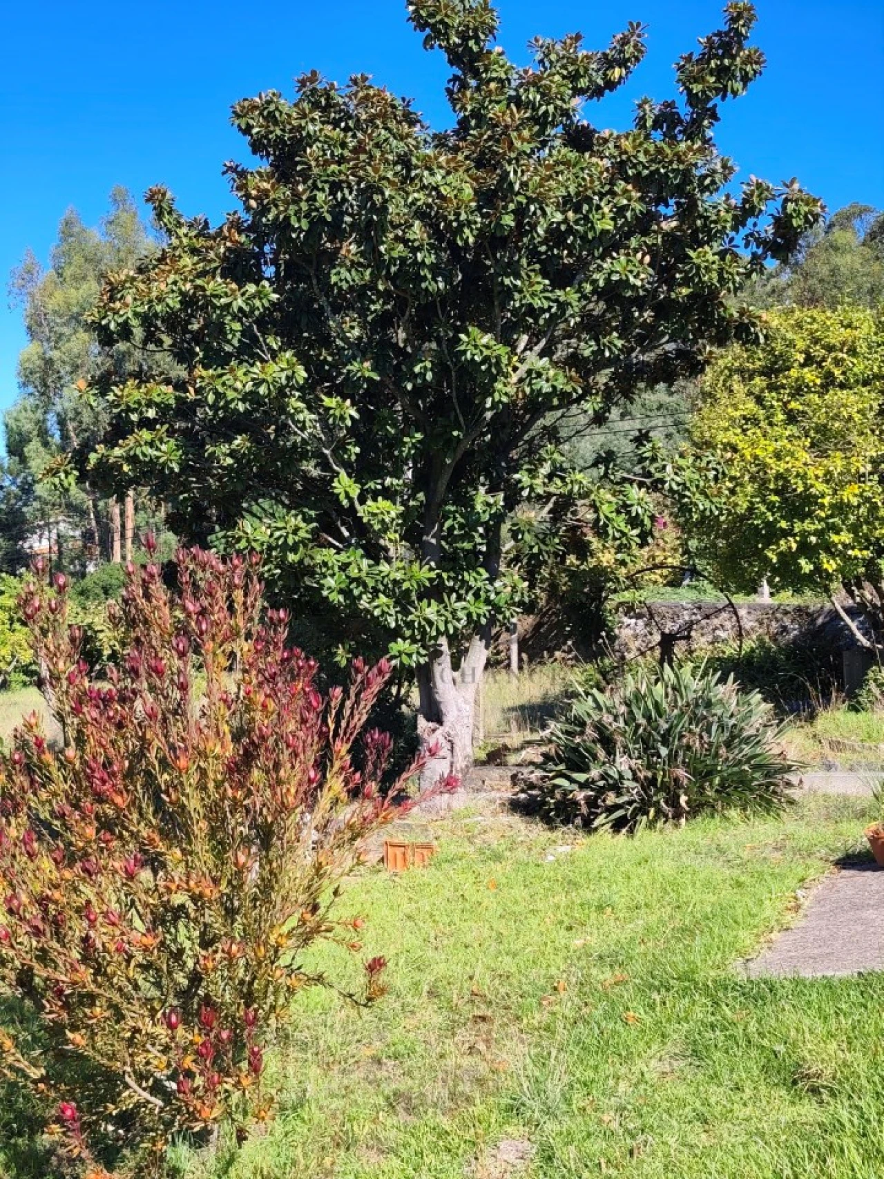 Terreno para Venda em Sandim, Olival, Lever e Crestuma Foto 10