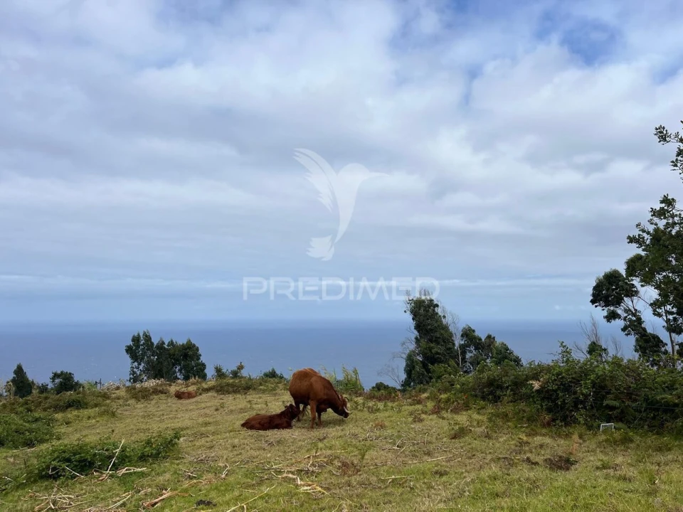 Terreno para Venda em Calheta Foto 2