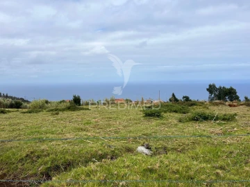 Terreno para Venda em Calheta