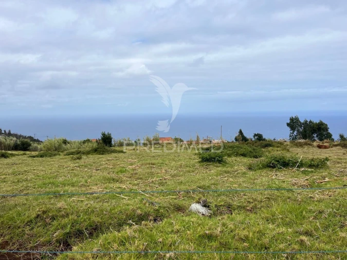 Terreno para Venda em Calheta Foto 4