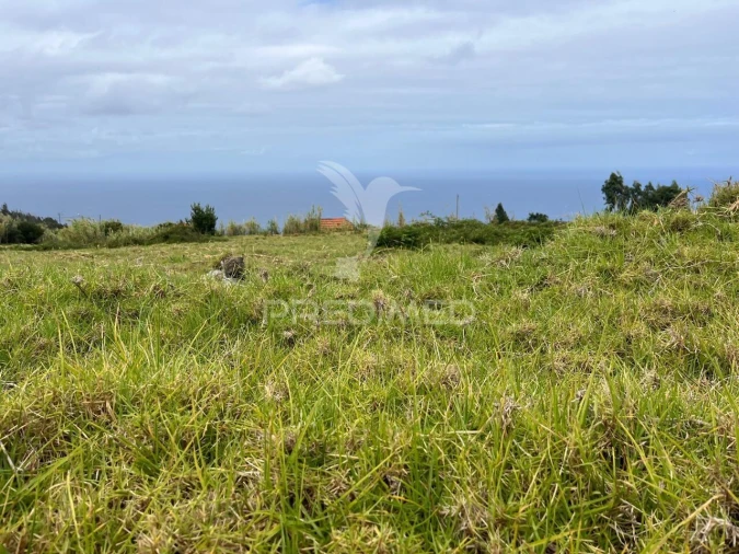 Terreno para Venda em Calheta Foto 6
