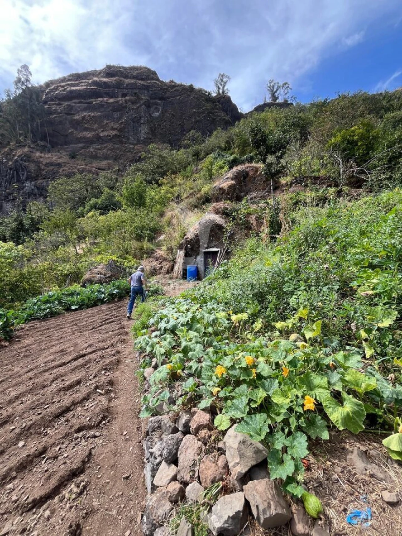 Terreno para Venda em Curral das Freiras Foto 13