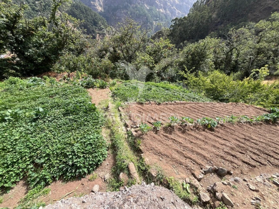 Terreno para Venda em Curral das Freiras Foto 9