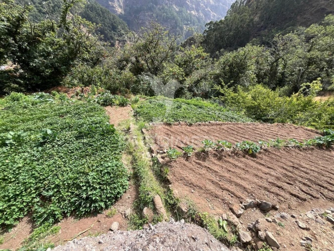 Terreno para Venda em Curral das Freiras Foto 9