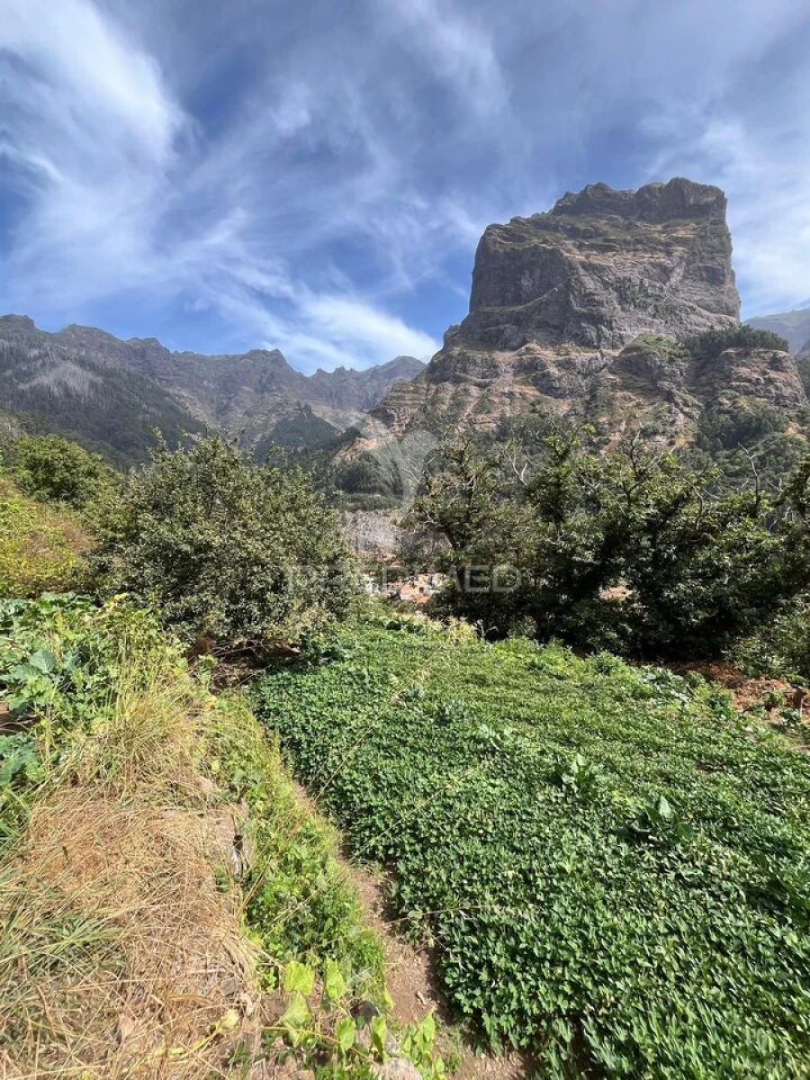 Terreno para Venda em Curral das Freiras Foto 10