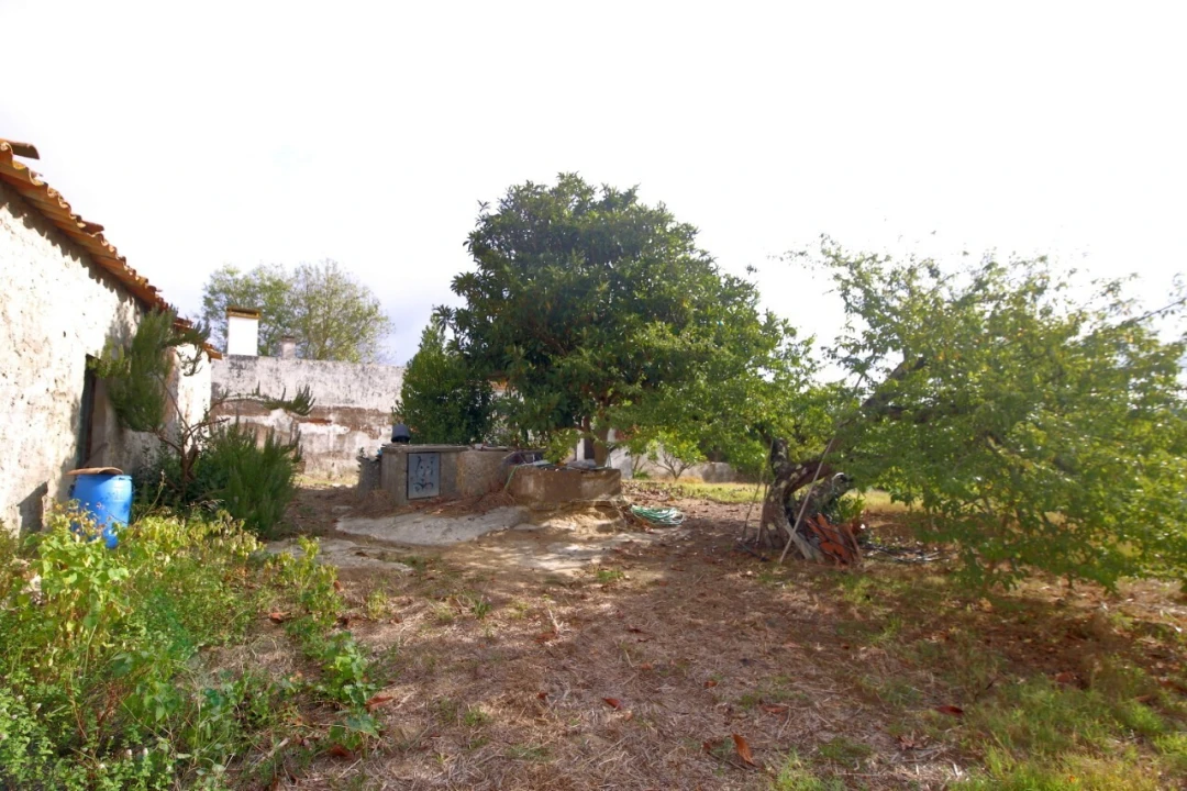 Moradia T0 para Venda em Carvalhal Foto 9
