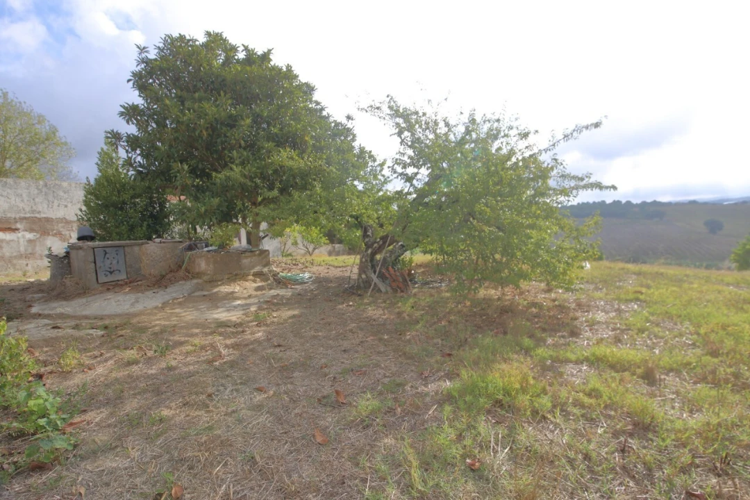 Moradia T0 para Venda em Carvalhal Foto 10