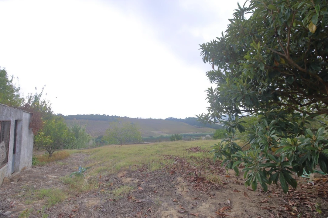 Moradia T0 para Venda em Carvalhal Foto 17