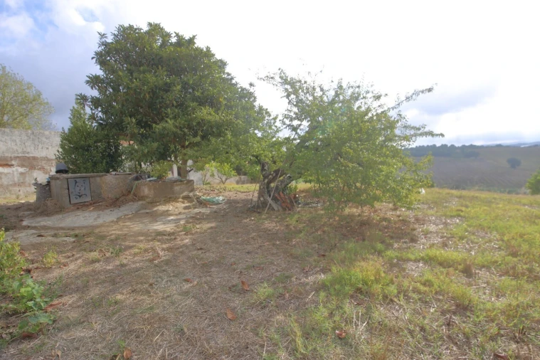 Moradia T0 para Venda em Carvalhal Foto 10