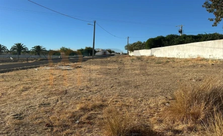 Terreno Misto para Venda em Santana de Cambas