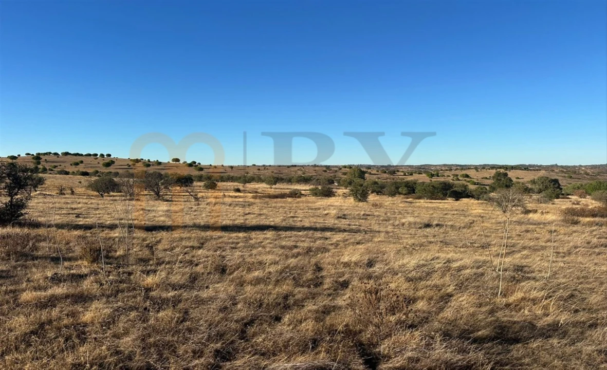 Terreno Agricola ou Rústico para Venda em Santana de Cambas Foto 5