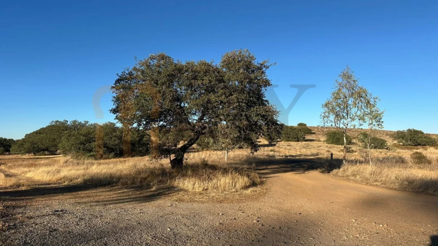 Terreno Agricola ou Rústico para Venda em Santana de Cambas
