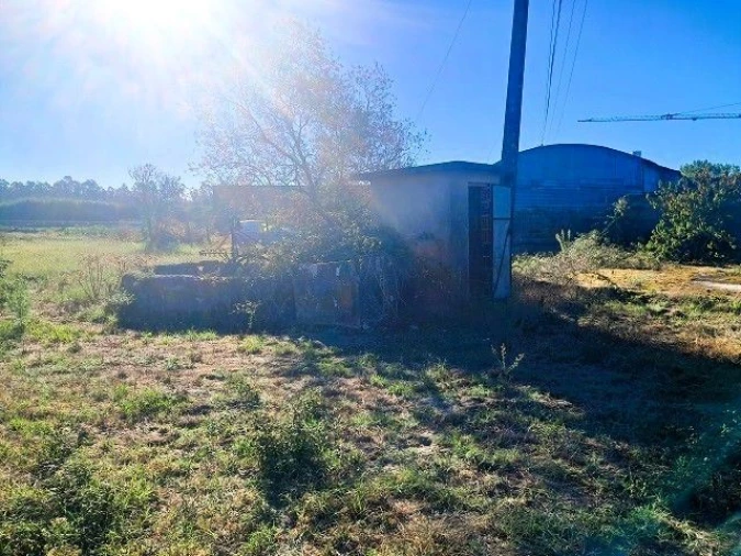 Moradia T2 para Venda em Arazede Foto 4