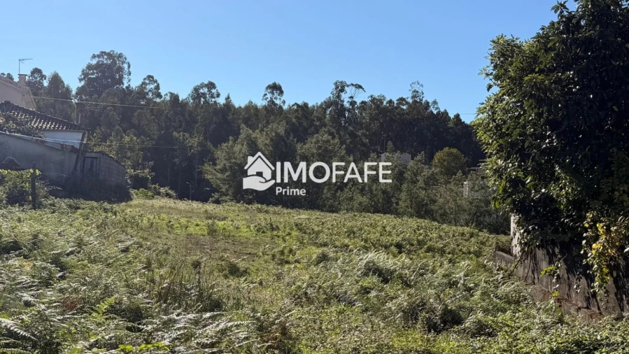 Terreno para Venda em Regadas Foto 10