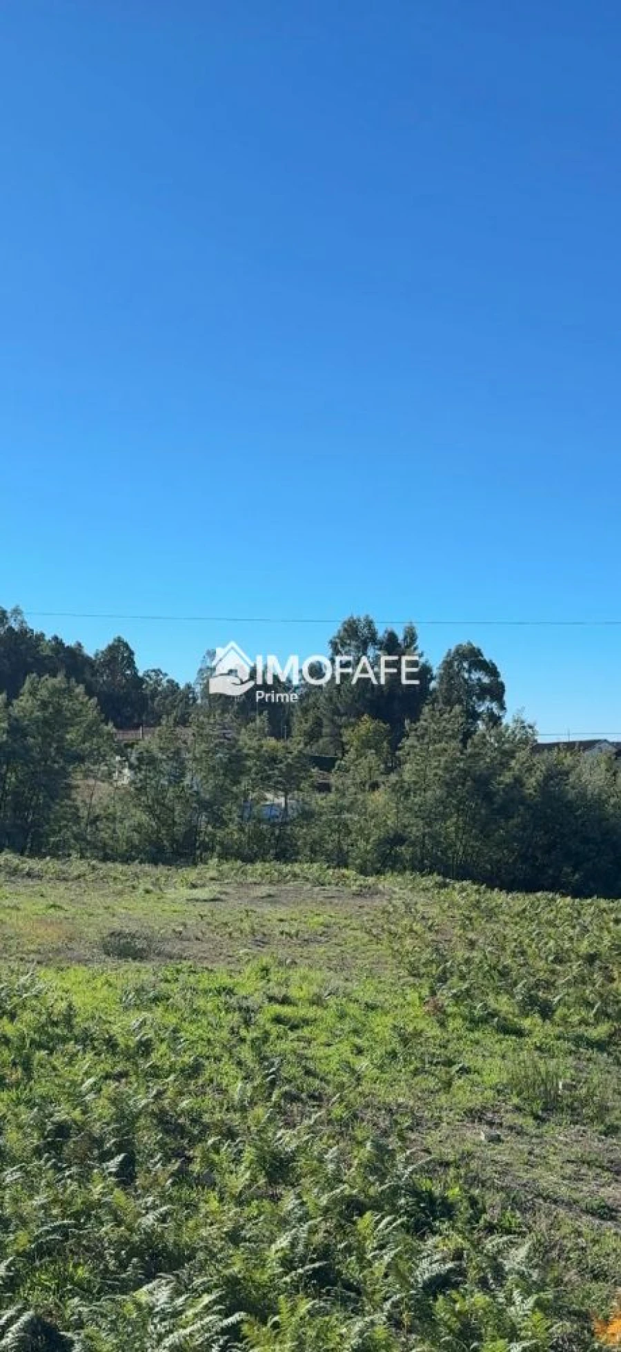 Terreno para Venda em Regadas Foto 6
