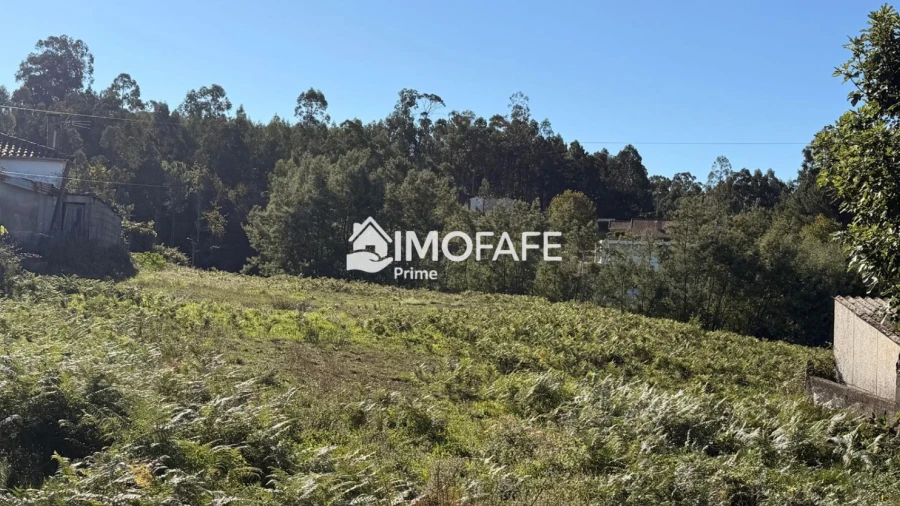 Terreno para Venda em Regadas