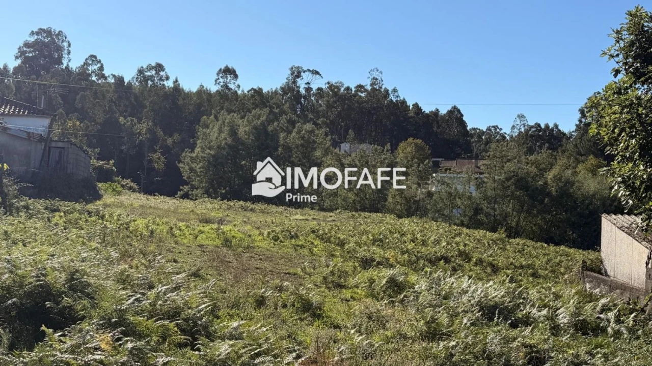 Terreno para Venda em Regadas Foto 11