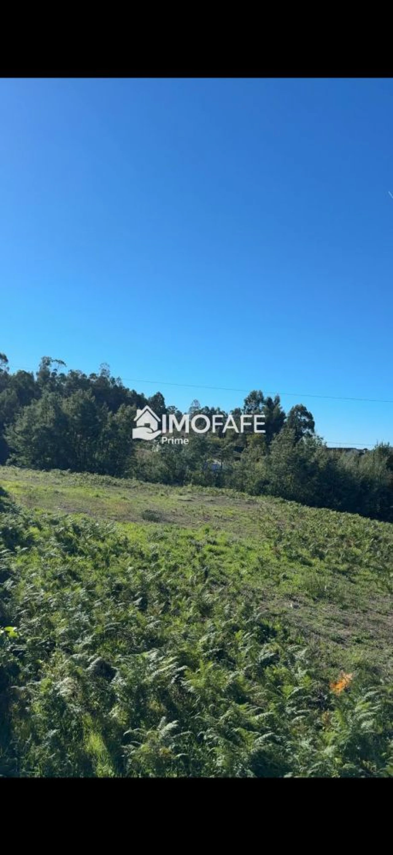 Terreno para Venda em Regadas Foto 17