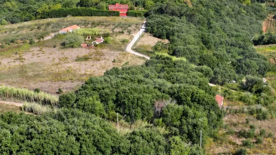 Terreno para Venda em A dos Negros