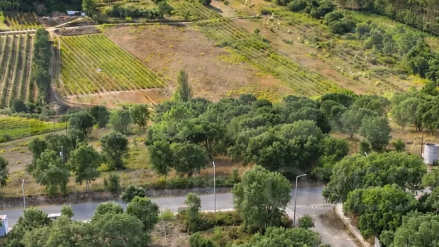 Terreno para Venda em A dos Negros
