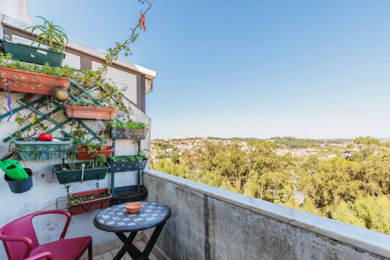 Apartamento T2 para Venda em Rio de Mouro Foto 22