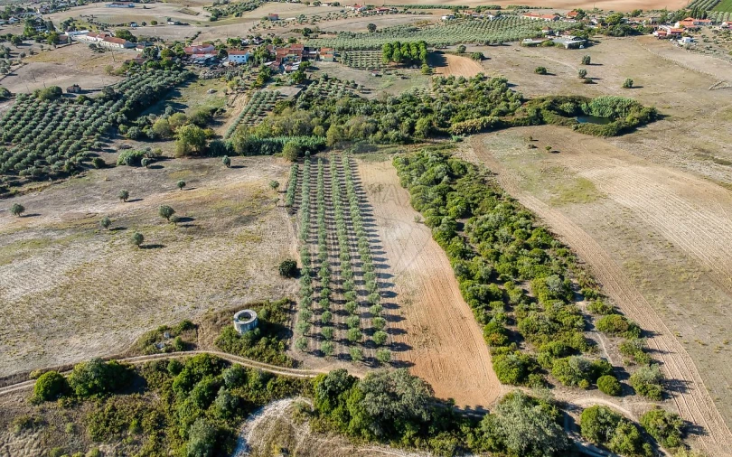 Moradia T2 para Venda em Achete, Azoia de Baixo e Póvoa de Santarém Foto 17