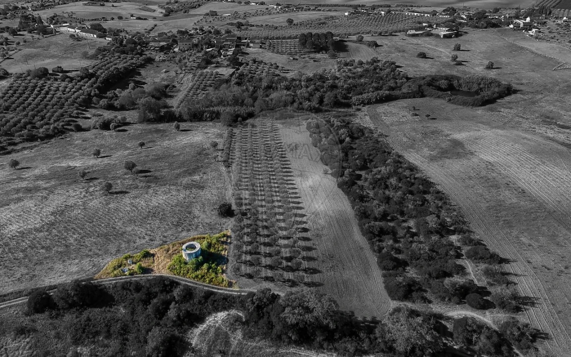 Moradia T2 para Venda em Achete, Azoia de Baixo e Póvoa de Santarém Foto 16