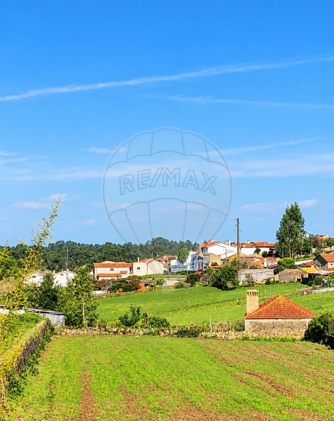 Terreno para Venda em Salreu