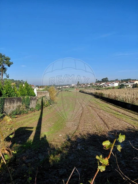 Terreno para Venda em Salreu