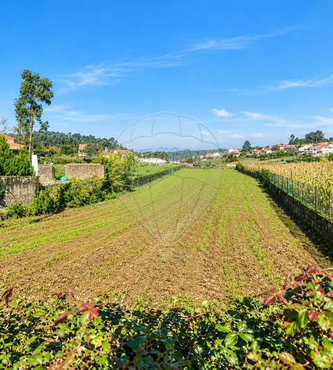 Terreno para Venda em Salreu