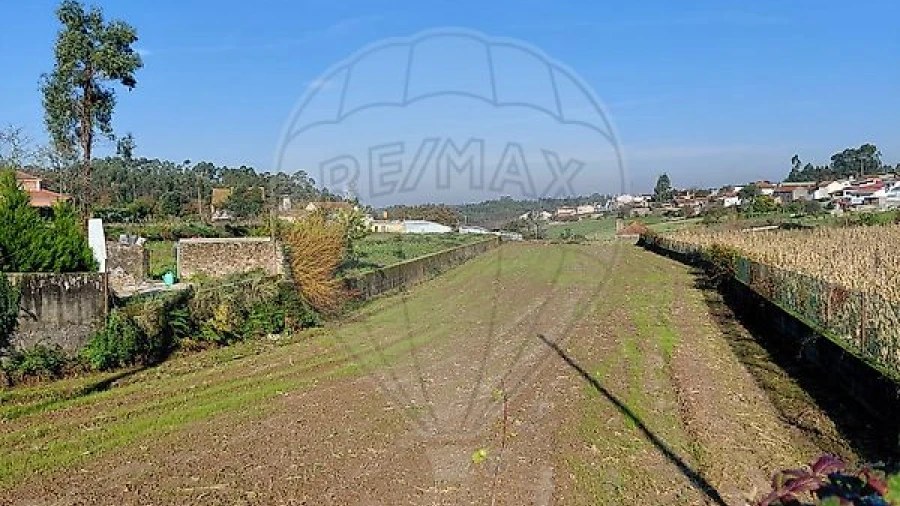 Terreno para Venda em Salreu