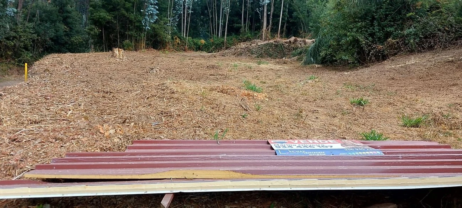 Terreno para Venda em Vila de Cucujães Foto 1