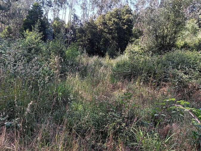 Terreno para Venda em Vila de Cucujães Foto 10