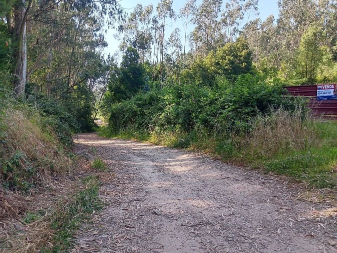 Terreno para Venda em Vila de Cucujães Foto 6