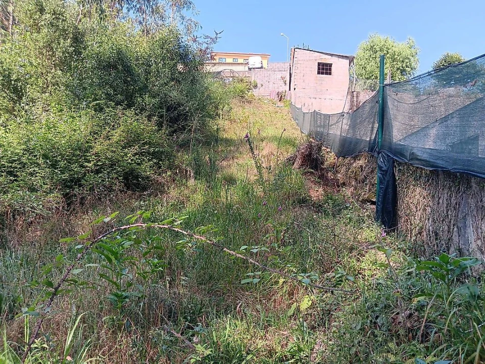 Terreno para Venda em Vila de Cucujães Foto 4