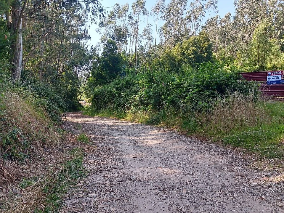 Terreno para Venda em Vila de Cucujães Foto 6