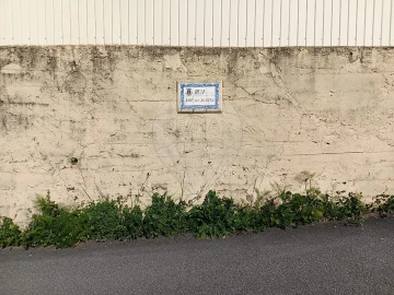 Terreno para Venda em Vila de Cucujães