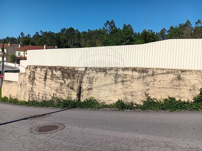 Terreno para Venda em Vila de Cucujães Foto 2