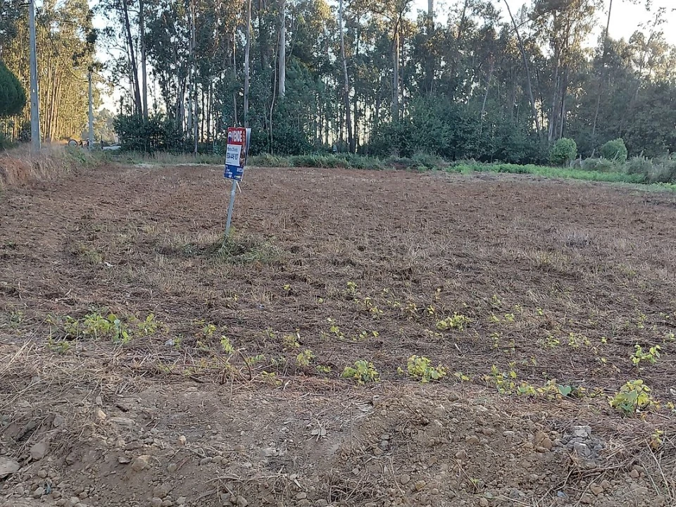 Terreno para Venda em Avanca Foto 1