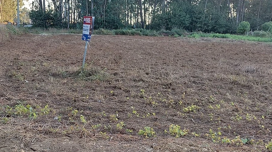 Terreno para Venda em Avanca