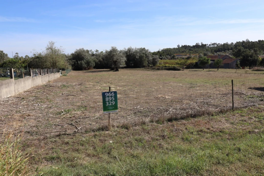 Terreno para Venda em Cantanhede e Pocariça Foto 2