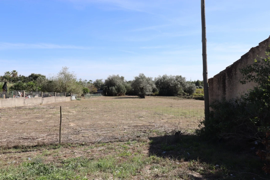 Terreno para Venda em Cantanhede e Pocariça Foto 3